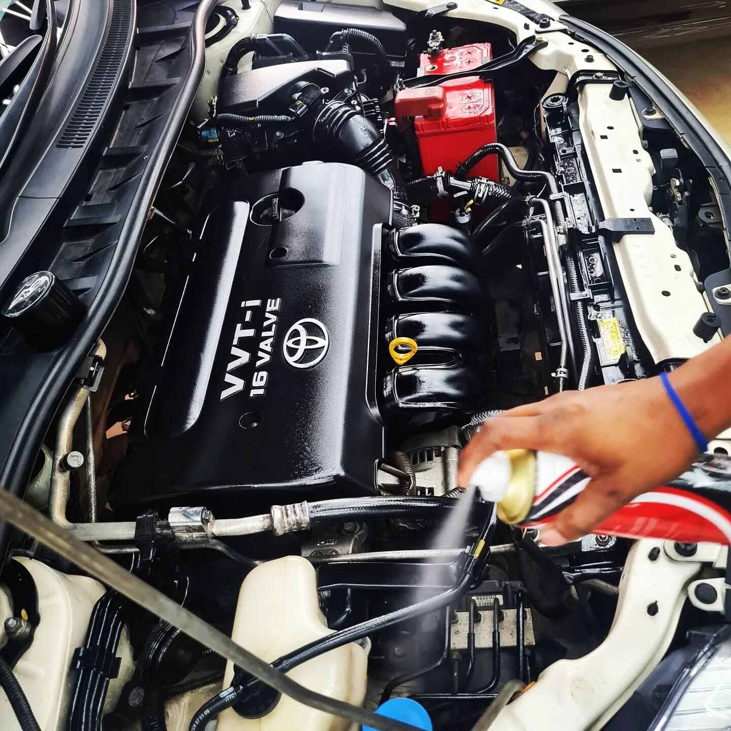 Engine bay detailing